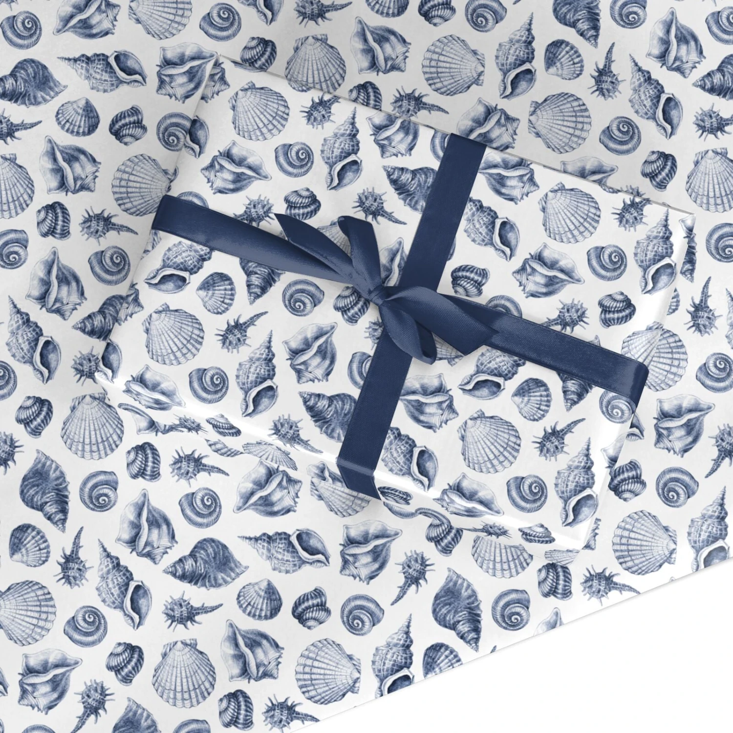 Shell Wrapping Paper