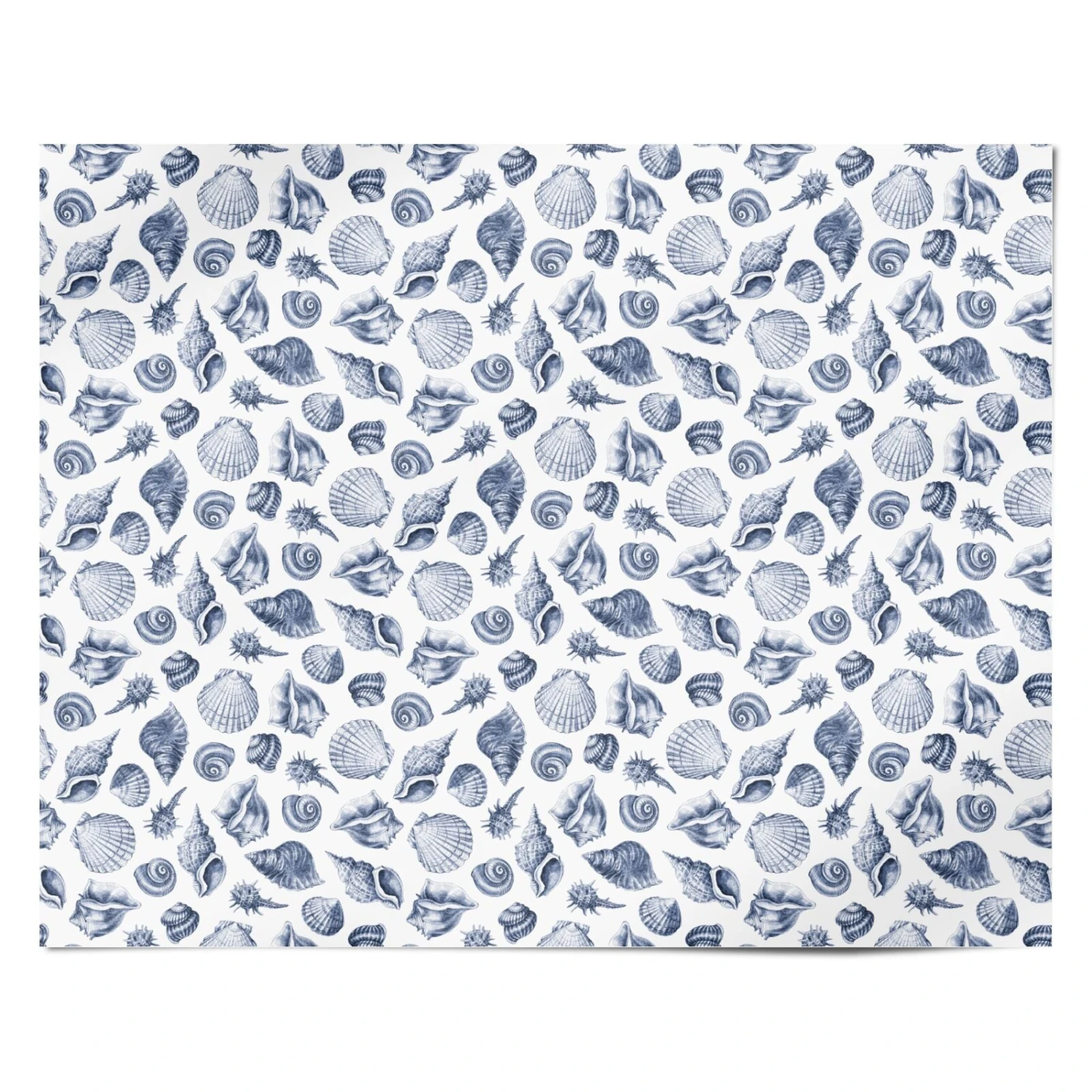 Shell Wrapping Paper - Image 4